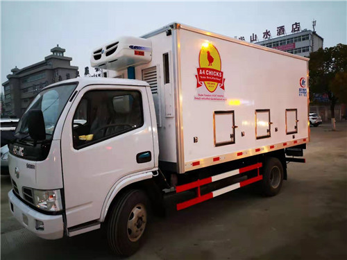 出口坦桑尼亞?wèn)|風(fēng)右駕雞苗運(yùn)輸車(chē)發(fā)車(chē)了